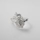 Anillo