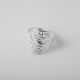 Anillo