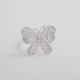 Anillo