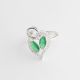 ANILLO