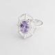ANILLO