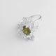 ANILLO