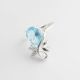 ANILLO