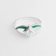 ANILLO