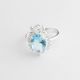 ANILLO