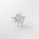 Anillo