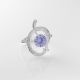 Anillo