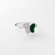 Anillo