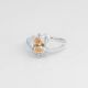 Anillo