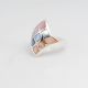 Anillo con NAcar