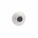 Anillo