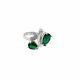 Anillo