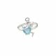 Anillo
