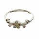 Anillo Super Livianos