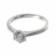Anillo