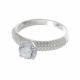 Anillo
