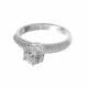 Anillo