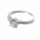 Anillo
