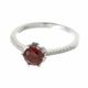Anillo
