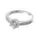 Anillo