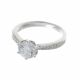 Anillo