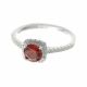 Anillo