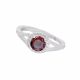 Anillo
