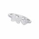 Anillo Cliente Db