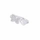 Anillo Cliente Db