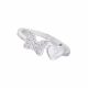 Anillo Cliente Db