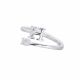 Anillo Cliente C