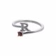 Anillo Cliente C