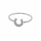 Anillo De Herradura