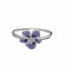 Anillo