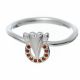 Anillo