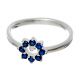 Anillo