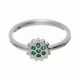 Anillo