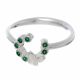 Anillo