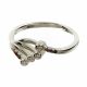 Anillo Super Livianos