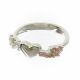 Anillo Super Livianos