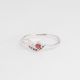 Anillo
