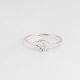 Anillo