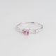 Anillo