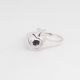 Anillo