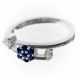 Anillo