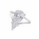 Anillo