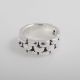 Anillo de Electroformatura