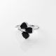 Anillo