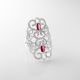 Anillo