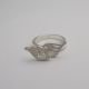 Anillo Alas